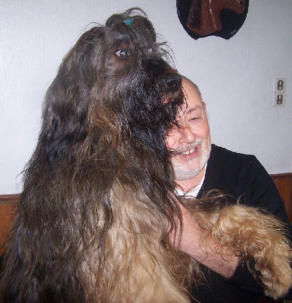Gueule dAmour