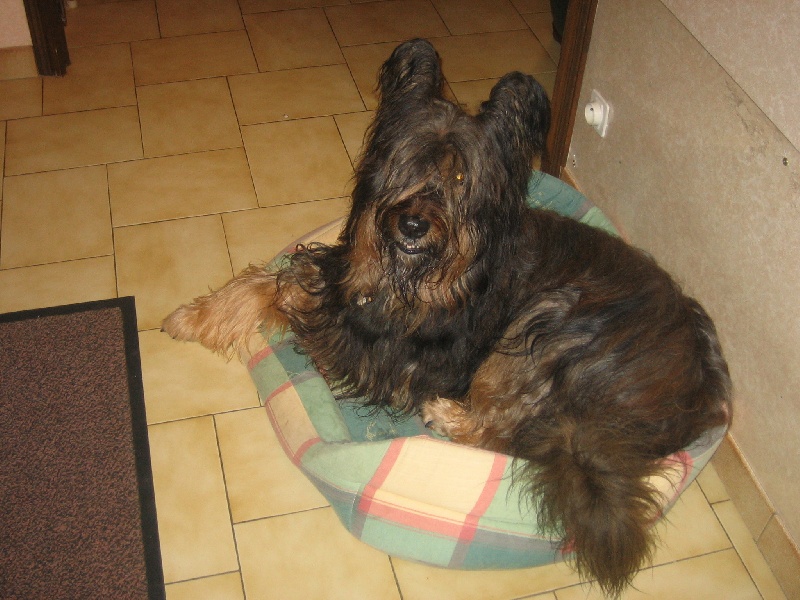 Frère, demi-frère de Rébane